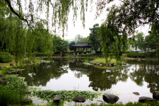 천안삼거리공원에 30여종의 버드나무 군락지 조성