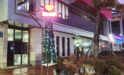 충주 연수동, 그늘막 활용 희망트리 제작