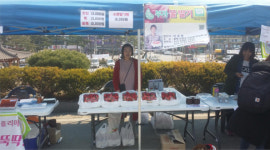 강소농을 꿈꾼다(45) 충북 진천 부자농원