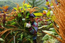 강소농을 꿈꾼다(52) 농촌융복합산업으로 도시민들에게 건강한 삶 선물해요