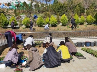 청주 탑대성동, 손바닥 공원 정비
