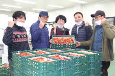 청남농협, 명품딸기위해 공동출하회 육성