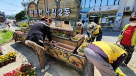 청주 사직2동, 환경 취약지 꽃묘 심기