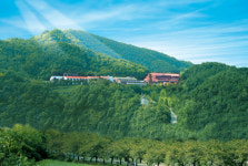 충주 수안보파크호텔 별빛온천 패키지