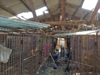 [르포] 증평 개 사육농장 사건이후 남겨진 동물 돌봄 현장을 가보다