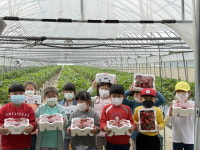 보은관기초, 딸기 농장 체험