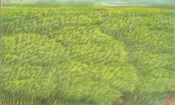 동양일보 창사 30주년 기념 송계 박영대 순회 초대전1