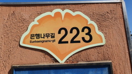 아산시, 은행나무길 자율형 건물번호판 설치 추진