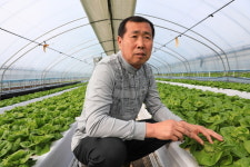 클릭이사람/ 친환경 농법으로 부농 일군 채소 명인