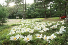 28회 충북민족예술제 다음달 1일 충주서 개최