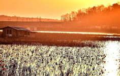 당진 신평면 오봉저수지, 친수공간 조성 착수로 힐링공간으로 거듭나