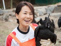 클릭이사람/ 연산 화악리 오계 사육 지산농원 이승숙 이사장