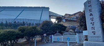 김용균사망 태안화력발전소 화재로 인근주민 연탄가스 중독