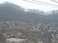 이‧통장이 소개하는 우리 동네 이야기/ ③서원구 팔봉리