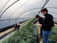 부여군 수박품목연구회, 찾아가는 현장컨설팅 호응  