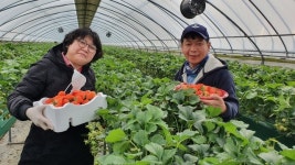 강소농을 꿈꾼다(140)/ 스마트팜으로 저비용, 고수익 실현