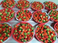 강소농을 꿈꾼다(140)/ 스마트팜으로 저비용, 고수익 실현