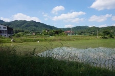 충북팜스테이를 찾아서/ 10.음성 대실비타민마을