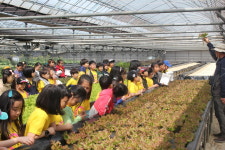 충북팜스테이를 찾아서/ 10.음성 대실비타민마을