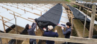 충북도청 공직자 생산적 일손 봉사에 적극 참여