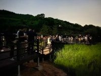 아산시 생태곤충원 2022년 반딧불이 탐사 행사 성료