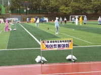 충북 노인들 게이트볼로 노익장 과시