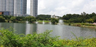 청주 오창읍, 호수공원 수질개선 완료