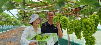 썬드림농원, 원유신·홍순면 부부의 특별한 농사법