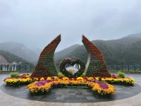 단양 도심, 국화향기 가득한 가을 정원 조성 눈길