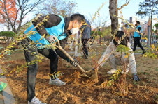 당진시·현대제철 가족봉사단, 한마음으로 꽃나무 식재