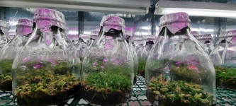 클릭이사람/태을농원 박원교 대표, 조직배양 1세대 30여 품종 개발