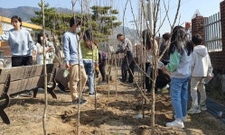 사진기사/ 제천 송학초, 무궁화 동산 조성... 제천산림조합 30여개 묘목 기증