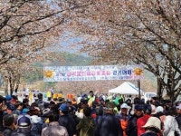1회 생극 응천십리벚꽃길 걷기대회