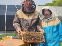 강소농을 꿈꾼다(189)/ 옥천 양승원 자연벌꿀 꿀농장