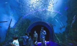 느림보 관광 봄의 낭만과 감성 여행지 단양에서 즐기세요.