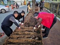충주 성내충인동 주민자치위, 작약꽃 화단조성