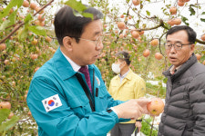 김문근 단양군수, 대강·적성·단성면 우박 피해 농가 긴급 현장 점검
