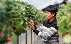 강소농을꿈꾼다(210)/ 진천 부자농원 이호명 대표