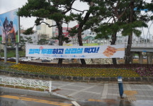 선택 D-6/ 충청권 사전투표율에 쏠리는 눈
