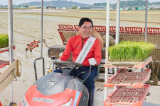 아산시, 아산맑은쌀 원료곡 신품종 해맑은벼, 달맑은벼로 대체