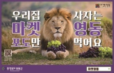 영동군, 온라인 쇼핑몰 '마켓영동' 이색홍보