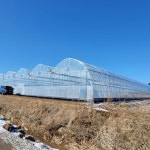 강소농을꿈꾼다/ 먹거리 농업, 삶 질 선도하는 행복·힐링 산업으로 도전