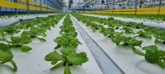 강소농을꿈꾼다/ 윤민석 온프레시팜 대표