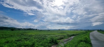 부여군 백마강변 생태자원 활용해 세계적 정원도시 만든다