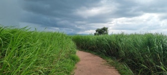 부여군 백마강변 생태자원 활용해 세계적 정원도시 만든다