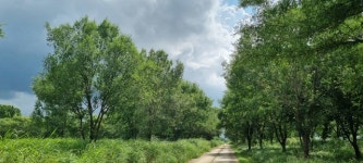 부여군 백마강변 생태자원 활용해 세계적 정원도시 만든다