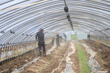 부여군, 수해 피해 315억원…신속한 복구 위해 동분서주