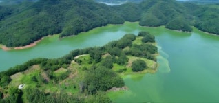 금강 유역 녹조 초비상