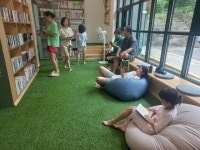 단양군새마을회, 다리안 피서지문고 마무리