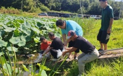 충주시, 버들붕어 방류 통해 토종어류 살리기 나서